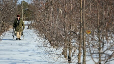 The Permaculture Orchard: Beyond Organic - Possible Media